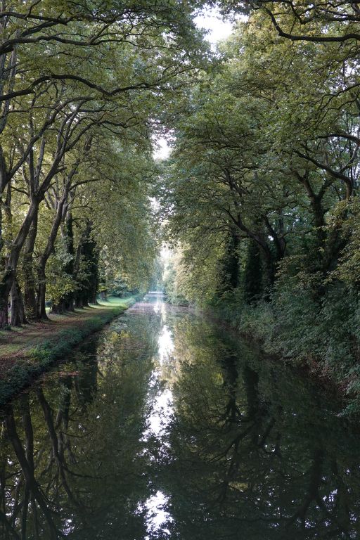 Dans le jardin du Baraban